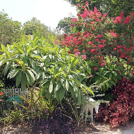 Heron Cay Lakeview Bed&Breakfast Mount Dora Exterior foto