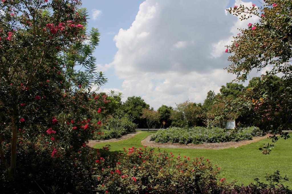 Heron Cay Lakeview Bed&Breakfast Mount Dora Exterior foto